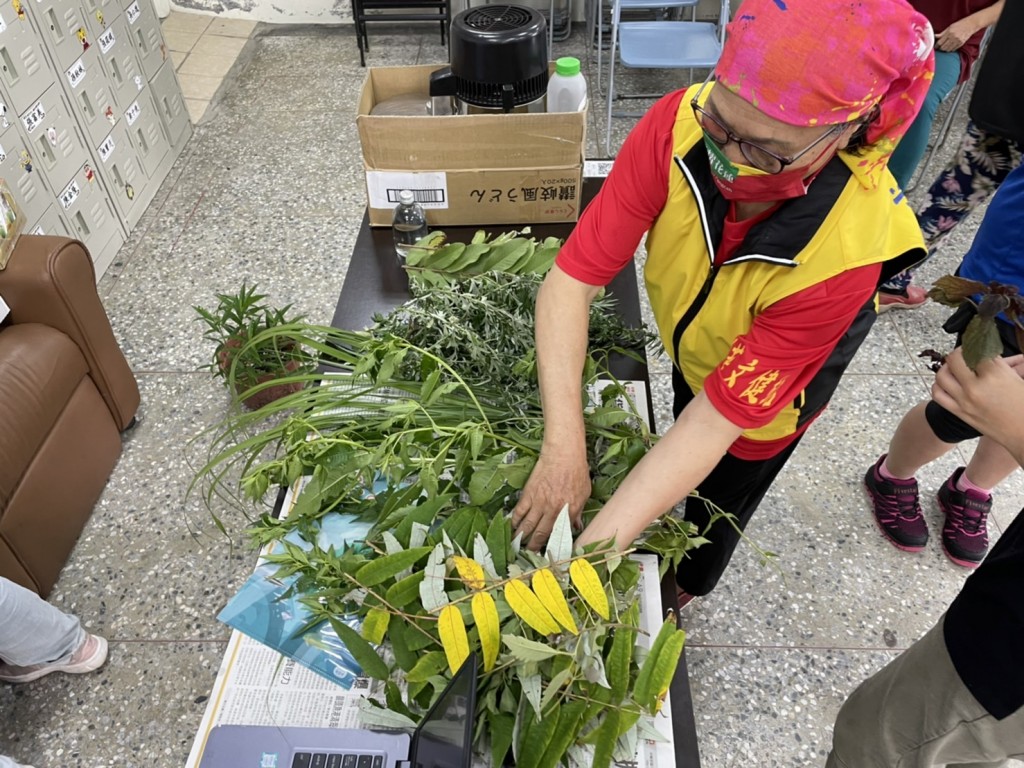 砂荖部落耆老辨識植物及分享傳統利用方法。（照片由花蓮場提供）
