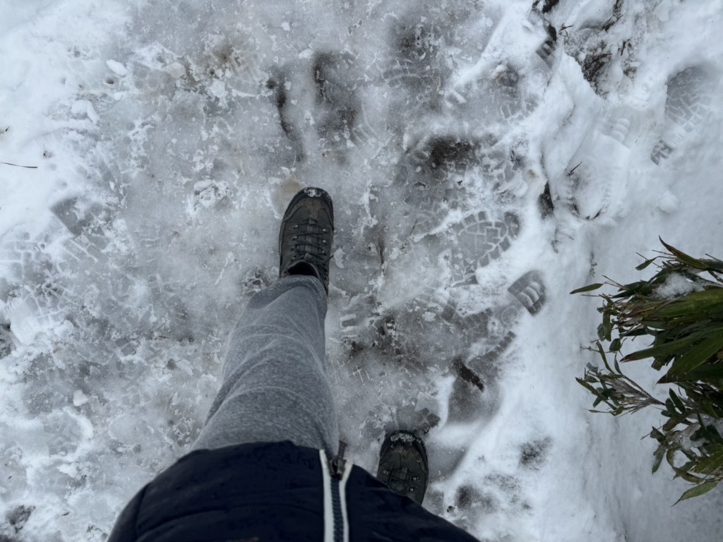 七星山追雪三攻略！民眾手腳並用好危險　資深山友建議穿「這個」