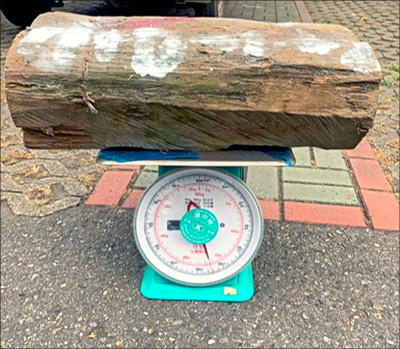 撿國有林檜木殘枝 罰30多萬